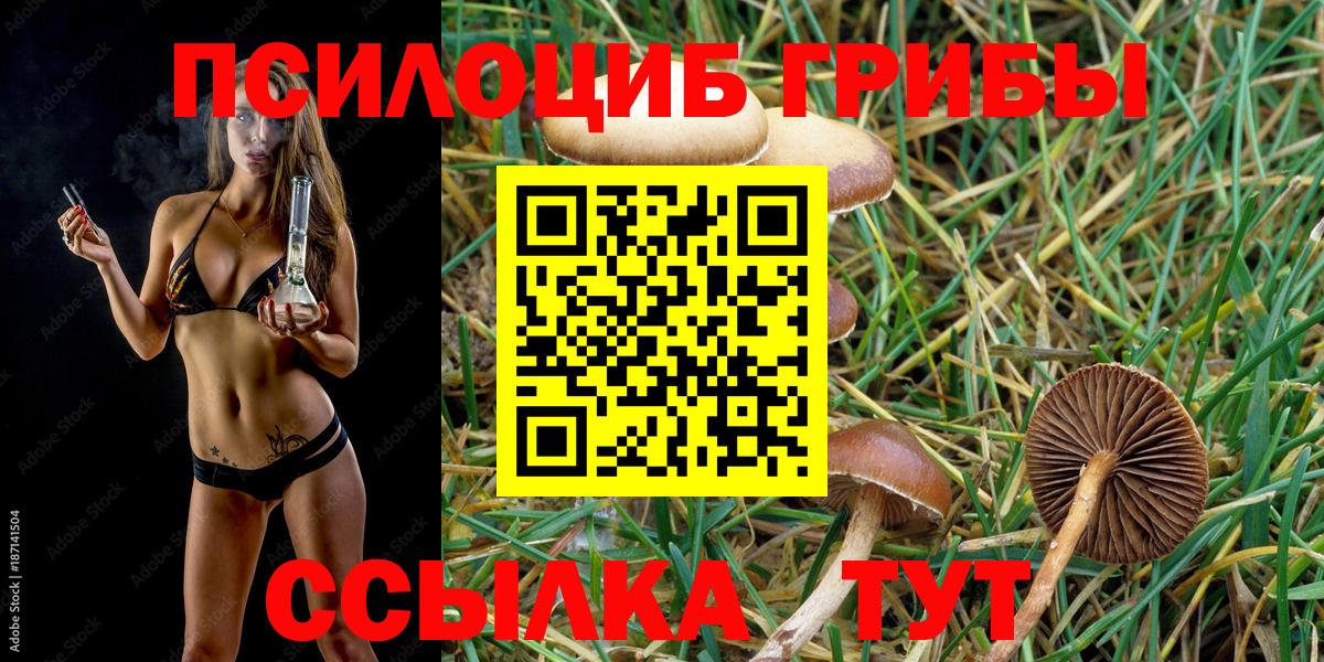 Саянск  Галлюциногенные грибы Psilocybe  Вход с VPN 